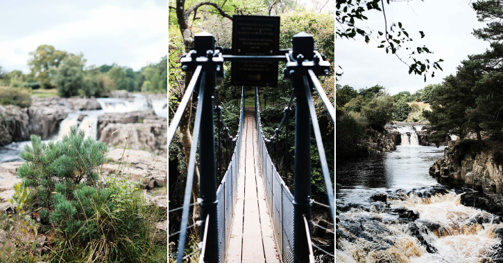 low force waterfall and winch bridge 